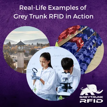 Real-Life Examples of Grey Trunk RFID in Action