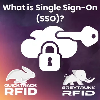 What is Single Sign-On (SSO)?